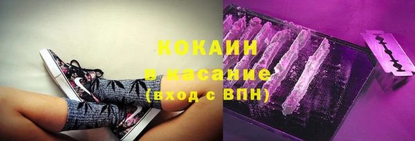 прущие грибы Абинск