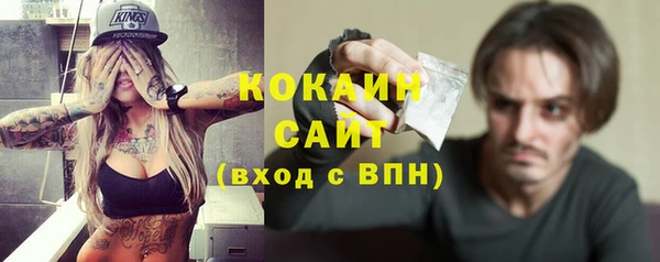 прущие грибы Абинск