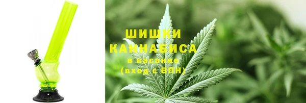 прущие грибы Абинск