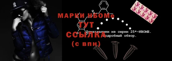 ECSTASY Абаза
