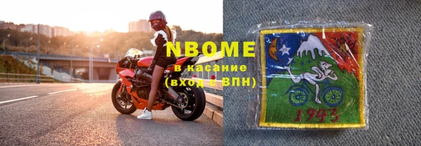 прущие грибы Абинск