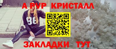 сатива Пугачёв