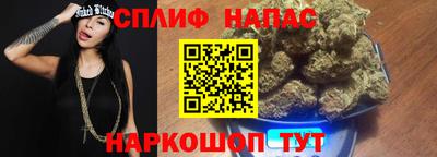 сатива Пугачёв